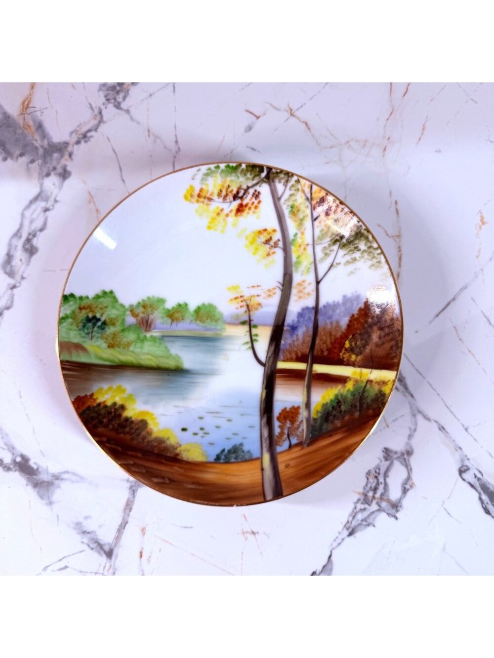 Beautiful Vintage Hand-Painted Landscape Collector Plate – Made in Occupied Japa